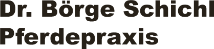 Dr. Börge Schichl - Pferdepraxis Logo